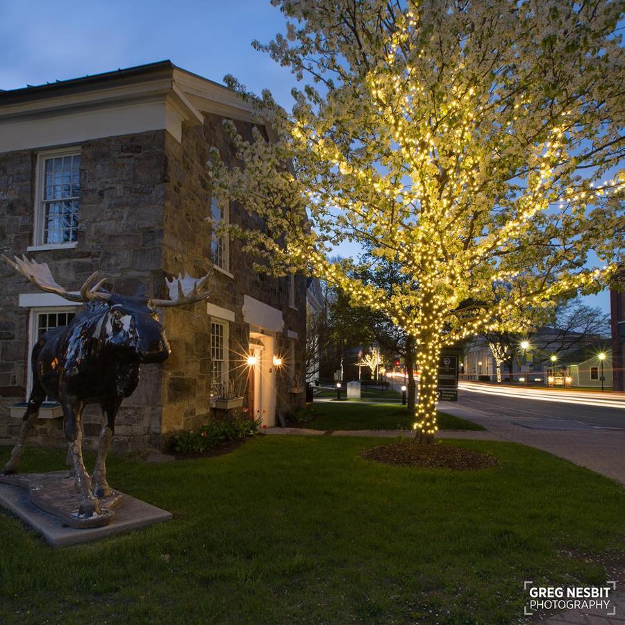 Governor'S Rock Motel Shaftsbury Экстерьер фото